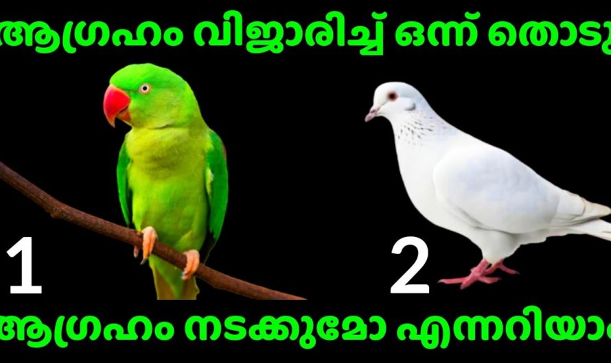 നിങ്ങളുടെ ജീവിതത്തിലെ ഇപ്പോഴത്തെ അവസ്ഥയെക്കുറിച്ച് മനസ്സിലാക്കണമോ..