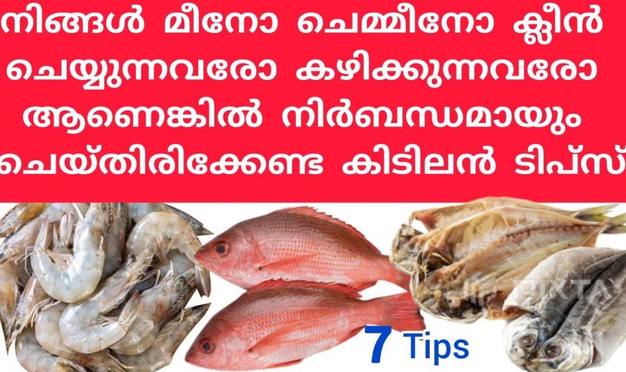മീൻ കറി വെക്കുമ്പോൾ ഇക്കാര്യം ശ്രദ്ധിച്ചാൽ വളരെയധികം ഗുണം ലഭിക്കും..