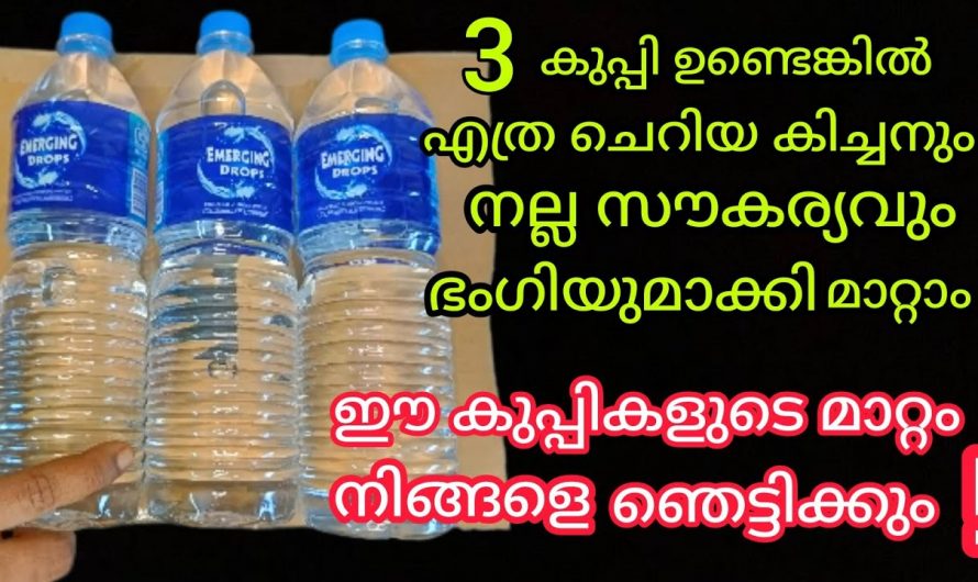 നമ്മുടെ അടുക്കളയിൽ ഉപയോഗിക്കാവുന്ന കിടിലൻ ഓർഗനൈസർ കുപ്പികൾ ഉപയോഗിച്ച് തയ്യാറാക്കാം…
