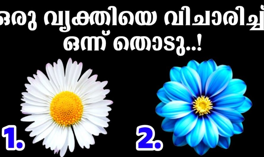 നിങ്ങൾ ഇഷ്ടപ്പെടുന്ന വ്യക്തി നിങ്ങളെക്കുറിച്ച് എന്ത് ചിന്തിക്കുന്നു എന്ന് മനസ്സിലാക്കണമോ .