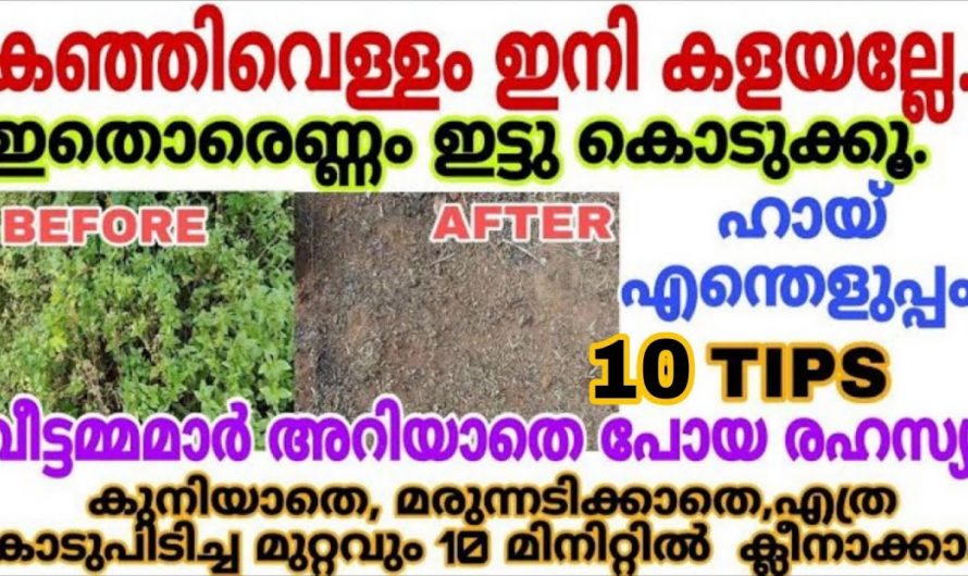 അടുക്കള മുതൽ ബാത്റൂം വേറെ ക്ലീൻ ചെയ്യാൻ ഇതാ കിടിലൻ സൊല്യൂഷൻ..
