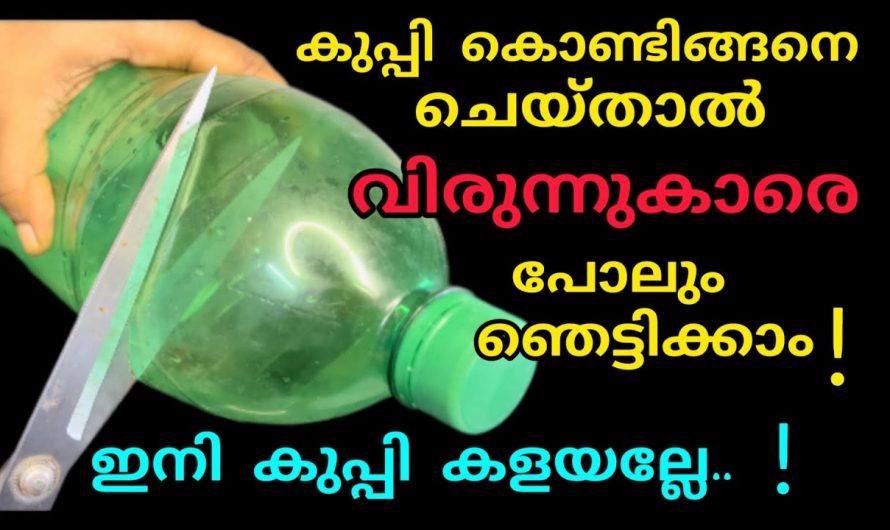 കുപ്പികൾ ഉണ്ടെങ്കിൽ ഈ ഒരു കാര്യം വീട്ടിൽ ചെയ്തു നോക്കൂ ..