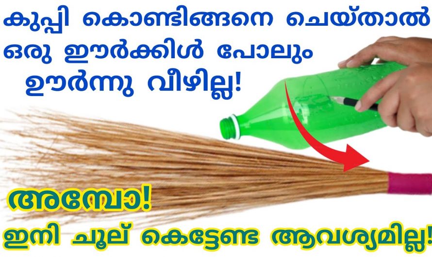 ഈയൊരു കാര്യം ചെയ്ത ചൂണ്ട തിക്നെസ്സ് നഷ്ടപ്പെടില്ല വർഷങ്ങളോളം ഉപയോഗിക്കാം..