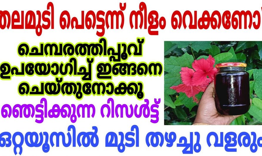 മുടി നരയ്ക്കുകയും കൊഴിച്ചിലും അനുഭവപ്പെടുന്നുണ്ടെങ്കിൽ ഇതൊന്നും പുരട്ടി നോക്കു റിസൾട്ട്..