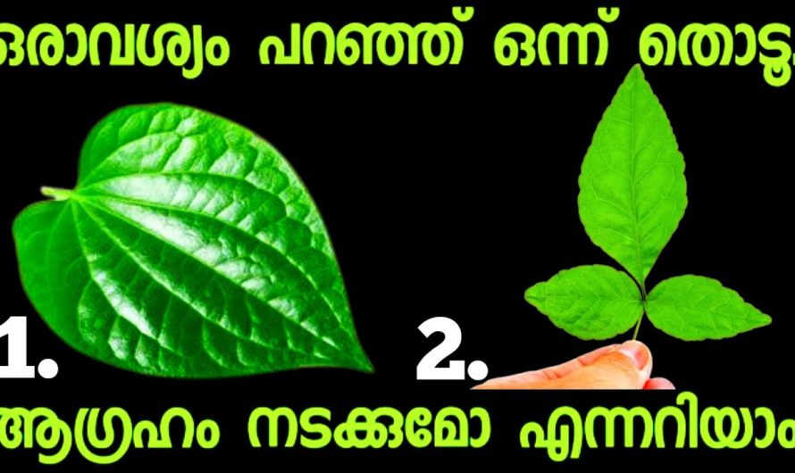 നിങ്ങളിൽ ഇതിൽനിന്ന് ഇഷ്ടപ്പെട്ട ഒരു ചിത്രം തിരഞ്ഞെടുക്കുക ജീവിതത്തെക്കുറിച്ച് മനസ്സിലാക്കു..