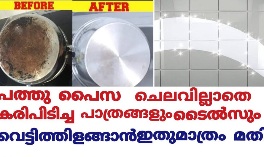 10 പൈസ ചെലവില്ലാതെ ഈ ഒരൊറ്റ സാധനം ഉപയോഗിച്ച് നമ്മുടെ വീട്ടിലെ എല്ലാതും ക്ലീൻ ചെയ്യാം..