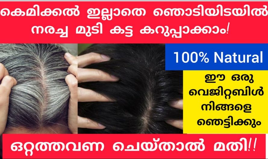 മുടിയിലെ നര എളുപ്പത്തിൽ പരിഹരിക്കാൻ ഇതാ പ്രകൃതിദത്ത മാർഗ്ഗം..