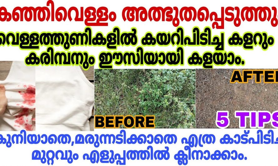 കഞ്ഞിവെള്ളം ഇങ്ങനെ ഉപയോഗിച്ച് നോക്കും ഞെട്ടിക്കും ഗുണങ്ങൾ.
