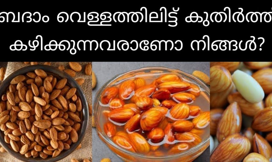 ബദാം കഴിക്കുന്നത് കൊണ്ടുള്ള ഞെട്ടിക്കും ഗുണങ്ങൾ…