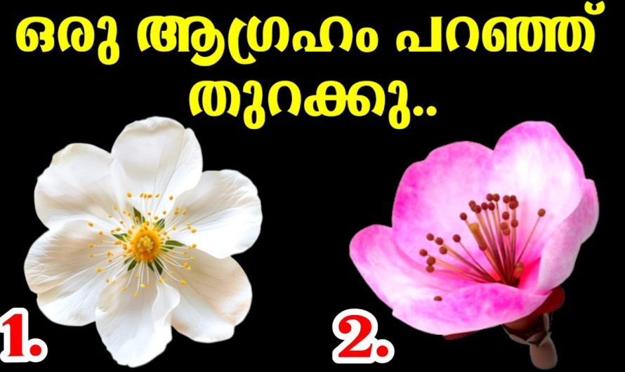 നിങ്ങളുടെ ജീവിതത്തിൽ ഇത്തരം കാര്യങ്ങൾ നടക്കുമോ..