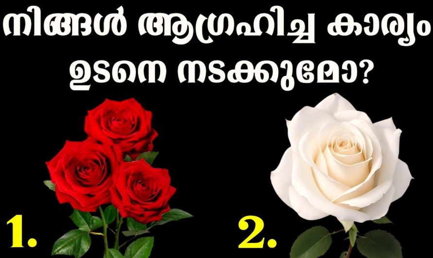 നിങ്ങൾ ആഗ്രഹിക്കുന്ന കാര്യം നിങ്ങളുടെ ജീവിതത്തിൽ എപ്പോഴും സാധ്യമാകും എന്നറിയണമോ..