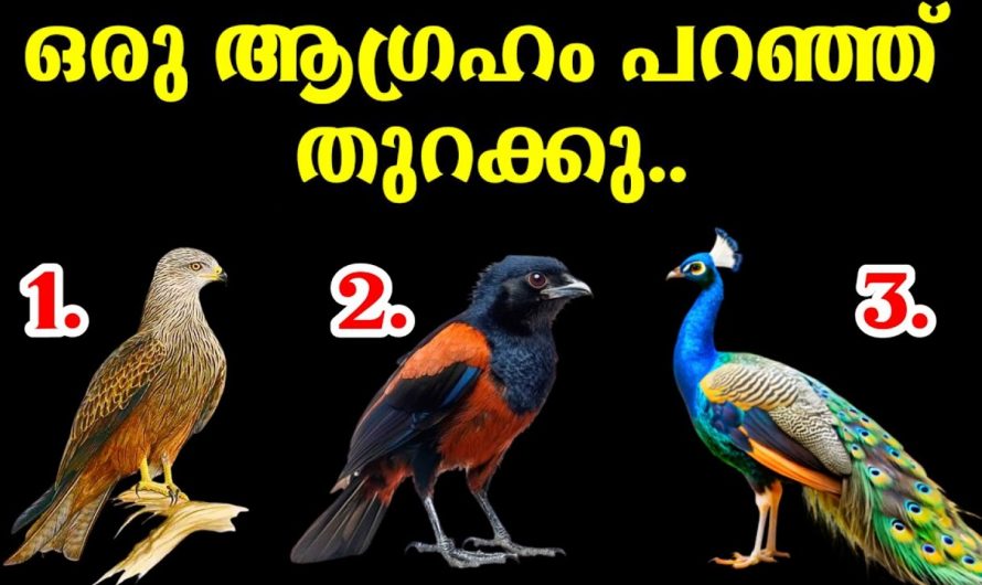 നമ്മുടെ മനസ്സിലുള്ള ആഗ്രഹം സാധിച്ചു കിട്ടുമോ എന്നറിയാം..