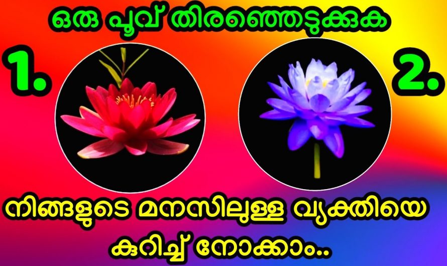 നമ്മുടെ ഇഷ്ടമുള്ള വ്യക്തികളെക്കുറിച്ച് മനസ്സിലാക്കുന്നതിന്..