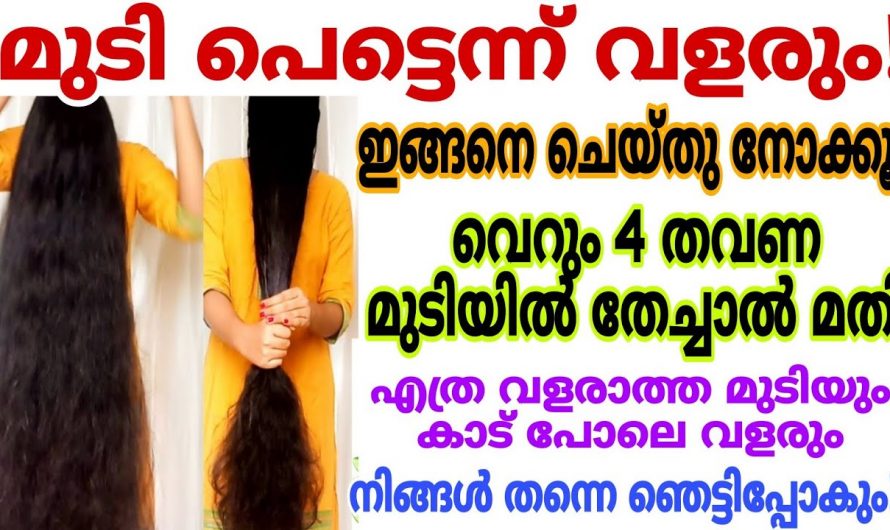 ഈ ഒരു ഉലുവ ഹെയർ പാക്ക്   ഉപയോഗിച്ച് നോക്കൂ വളരാത്ത മുടിയും വളരും..