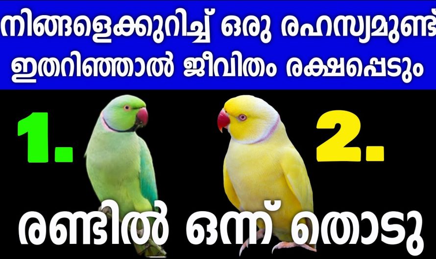 നിങ്ങളുടെ ഒളിഞ്ഞിരിക്കുന്ന കഴിവുകളെയും നിങ്ങൾക്ക് മനസ്സിലാക്കാൻ സാധിക്കണോ .