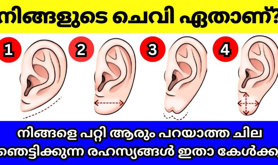 നിങ്ങളുടെ ചെവി നോക്കി നിങ്ങളുടെ ഭാവി എന്താണെന്ന് പറയാം..