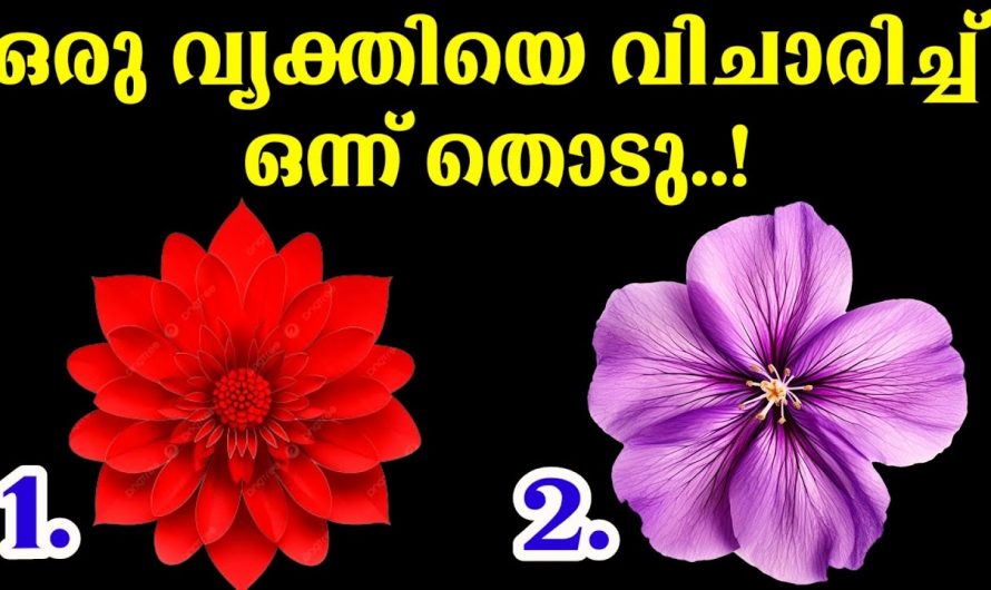 നിങ്ങൾക്ക് വളരെ ഇഷ്ടമുള്ള ഒരു വ്യക്തിയുടെ മനസ്സ് അറിയണമോ..