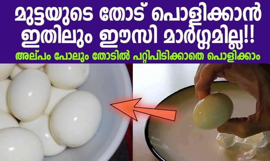 മുട്ട പുഴുങ്ങുമ്പോൾ ഈ ഒരു കാര്യം ശ്രദ്ധിച്ചാൽ ഇരട്ടി ഗുണം..