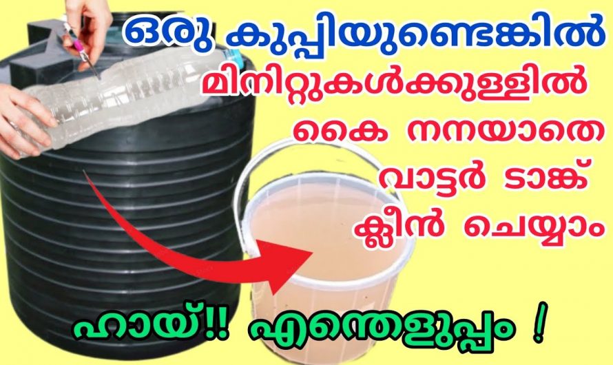ആരുടെയും സഹായമില്ലാതെ വാട്ടർ ടാങ്ക് തനിയെ ക്ലീൻ ചെയ്യണം ഒരു കുപ്പി മാത്രം മതി ഇതാ കിടിലൻ വഴി.