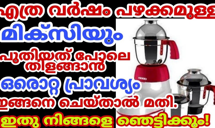 എത്ര പഴക്കം ചെന്ന മിക്സിയും  വളരെ എളുപ്പത്തിൽ പുത്തൻ പുതിയത് പോലെ ആക്കാം..