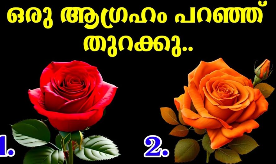 നിങ്ങൾ മനസ്സിൽ വിചാരിക്കുന്ന കാര്യങ്ങൾ  എപ്പോൾ സാധിക്കുമെന്ന് അറിയാം..