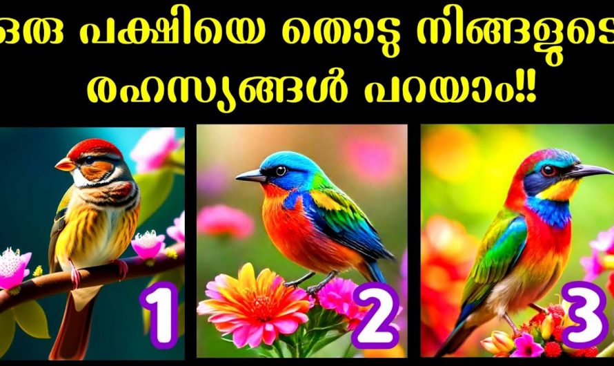 ഇതാ നിങ്ങളെ കുറിച്ച് ഒരു കിടിലൻ രഹസ്യം…