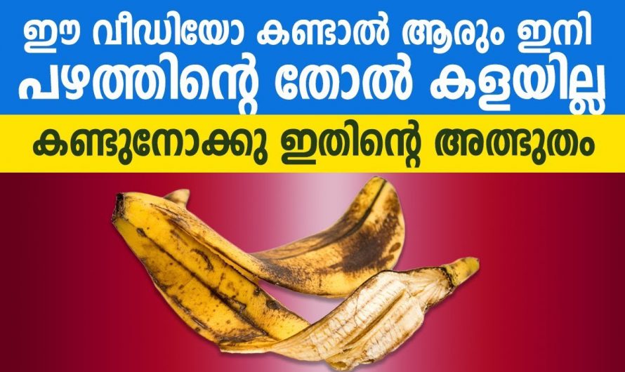 പഴത്തിന്റെ  തൊലി കളയണ്ട ഇത് ചർമ്മത്തിന് ഇരട്ടി ഗുണം..