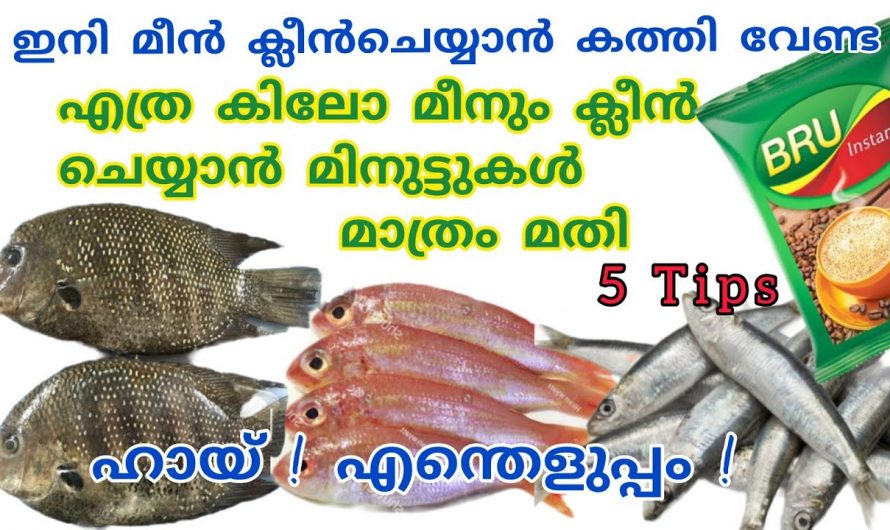 ഏതുതരം മീനും  എളുപ്പത്തിൽ ക്ലീൻ ചെയ്യുന്നതിനെ കിടിലൻ വഴി..