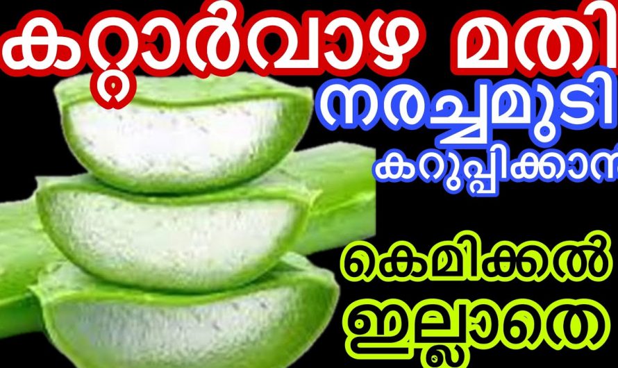 കുട്ടികളിലെ മുതിർന്നവരെയും മുടിയിലെയും നരയ്ക്ക് ഇതാ പ്രകൃതിദത്ത പരിഹാരം….