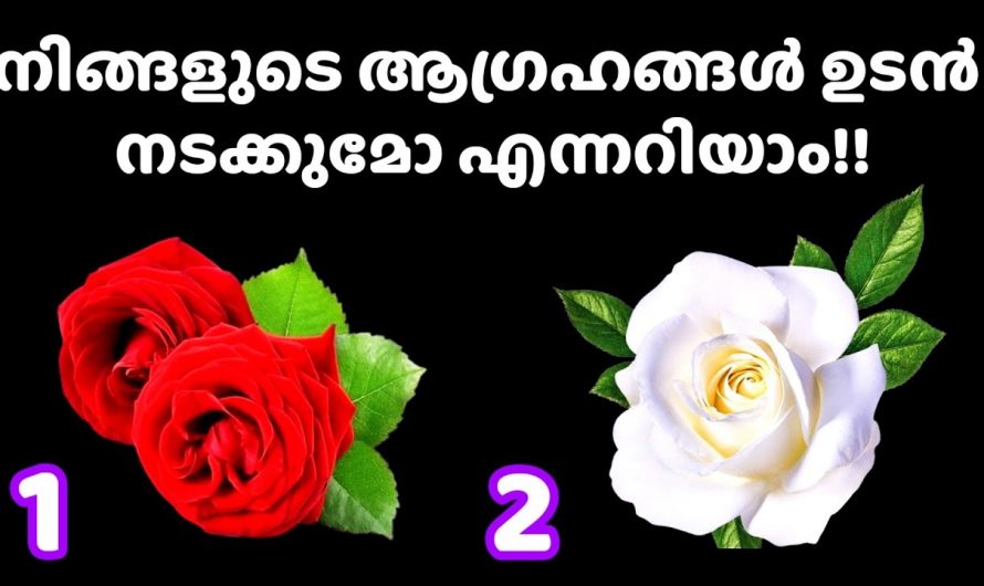 നിങ്ങളുടെ മനസ്സിലെ ആഗ്രഹങ്ങളെ എപ്പോൾ സഫലമാകുമെന്ന് അറിയണോ..