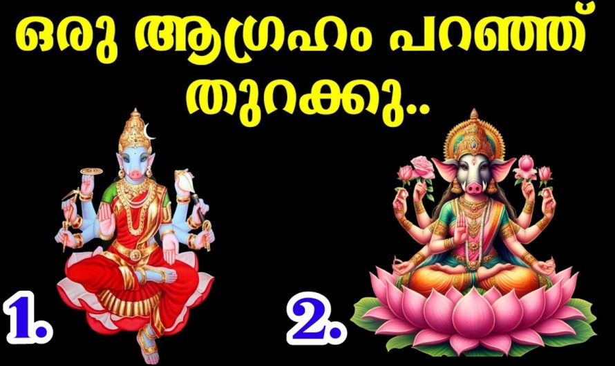 ഇതിൽ നിന്ന് ഒരു ചിത്രം തെരഞ്ഞെടുക്കു, നിങ്ങളുടെ ആഗ്രഹങ്ങൾ സാധിക്കുമോ ഇല്ലയോ എന്നറിയാം..