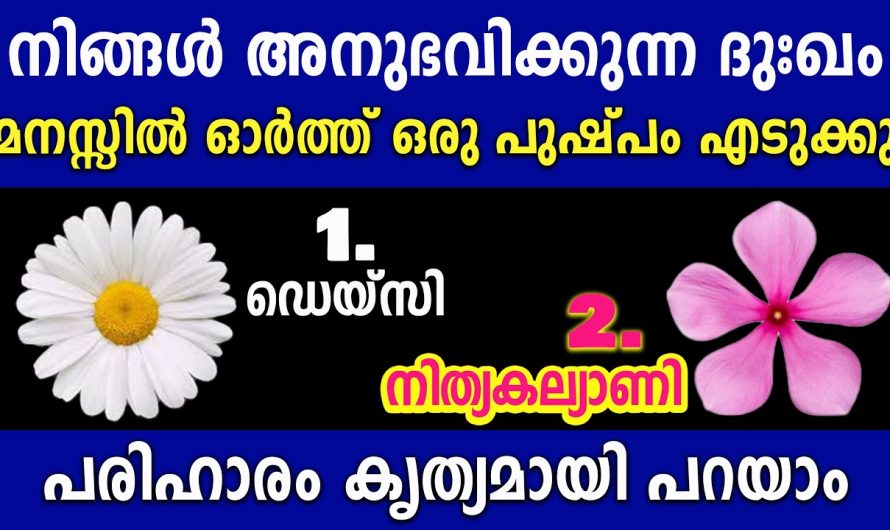 നിങ്ങളുടെ ദുഃഖങ്ങൾക്ക് എപ്പോൾ പരിഹാരമുണ്ടാകും അറിയണോ ..