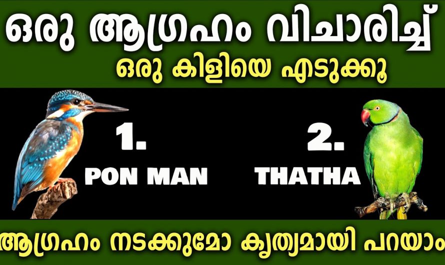 നിങ്ങളുടെ മനസ്സിലുള്ള ആഗ്രഹങ്ങൾ എപ്പോൾ നടക്കും എന്നതിനെ കുറിച്ച് അറിയണോ..