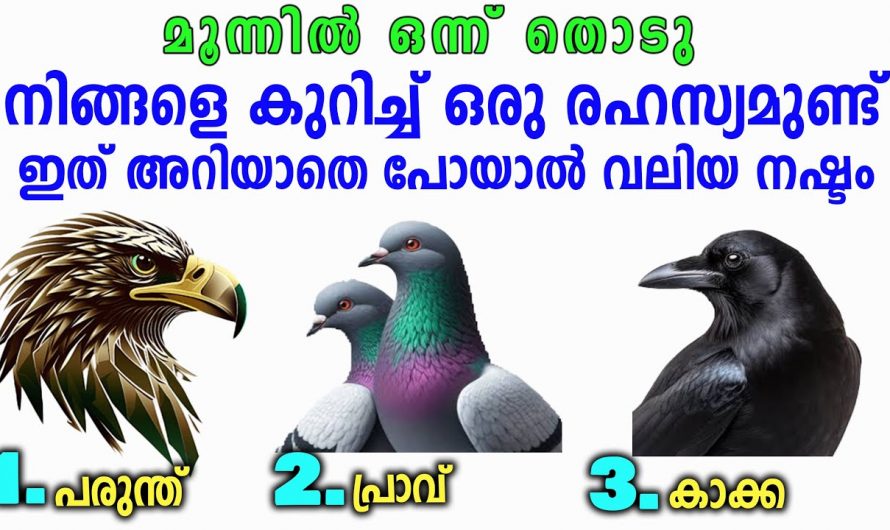 ഇക്കാര്യം അറിഞ്ഞാൽ  നിങ്ങൾ ജീവിതത്തിൽ വിജയിക്കും.