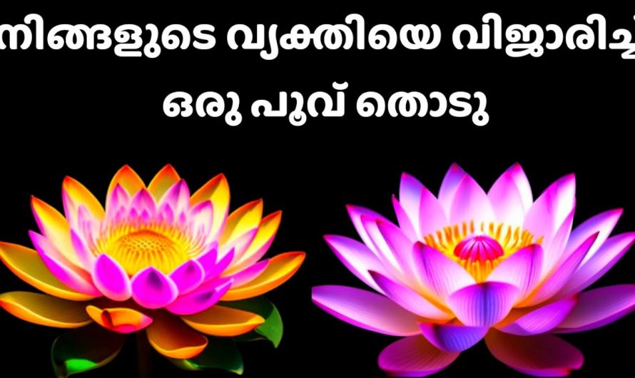 നിങ്ങൾ ആഗ്രഹിക്കുന്ന നിങ്ങൾ ഇഷ്ടപ്പെടുന്ന വ്യക്തി നിങ്ങളോട് പറയാൻ ആഗ്രഹിക്കുന്നത്…