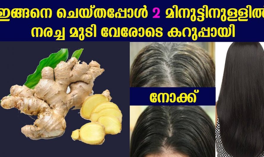 മുടിയിലെ നര പരിഹരിക്കാൻ ഇതാ കിടിലൻ മാർഗ്ഗം..