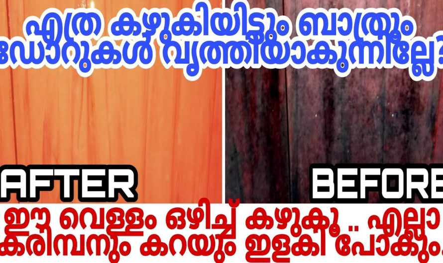 കരിമ്പൻ പിടിച്ചതും പഴകിയതുമായ ബാത്റൂം ഡോറുകൾ പുത്തൻ പുതിയത് പോലെ ആക്കാം..
