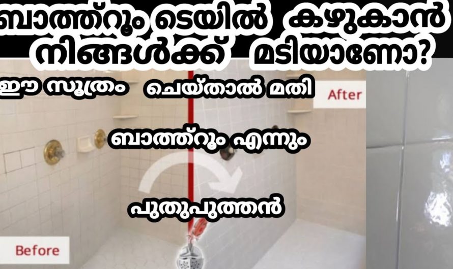 ബാത്റൂം  എപ്പോഴും ക്ലീനായി നിലനിർത്താൻ ഇതാ കിടിലൻ മാർഗ്ഗം..