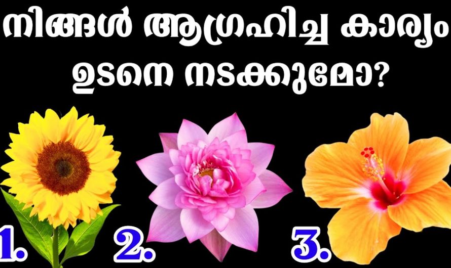 ജീവിതത്തിൽ സംഭവിക്കാൻ പോകുന്ന കാര്യങ്ങളെ കുറിച്ച് അറിയണോ..