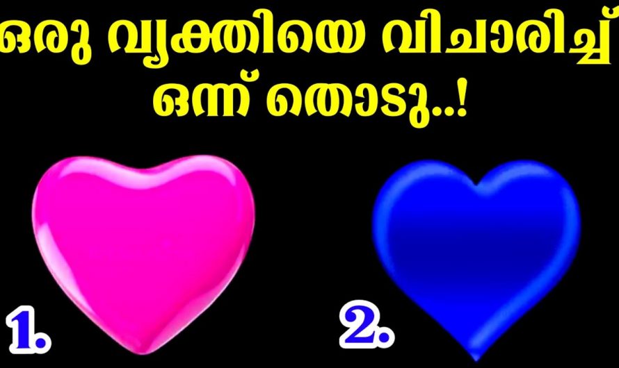 നമ്മളെ ഇഷ്ടപ്പെടുന്ന വ്യക്തി നമ്മളെ ആത്മാർത്ഥമായി  സ്നേഹിക്കുന്നുണ്ടോ എന്ന് തിരിച്ചറിയാം..