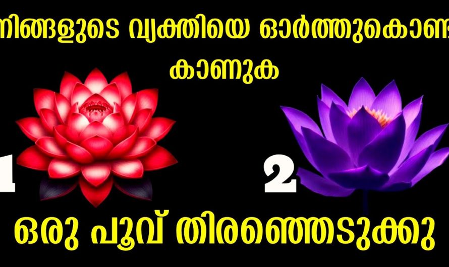 നിങ്ങൾ ഇഷ്ടപ്പെടുന്ന വ്യക്തികളെ കുറിച്ച് മനസ്സിലാക്കണം..