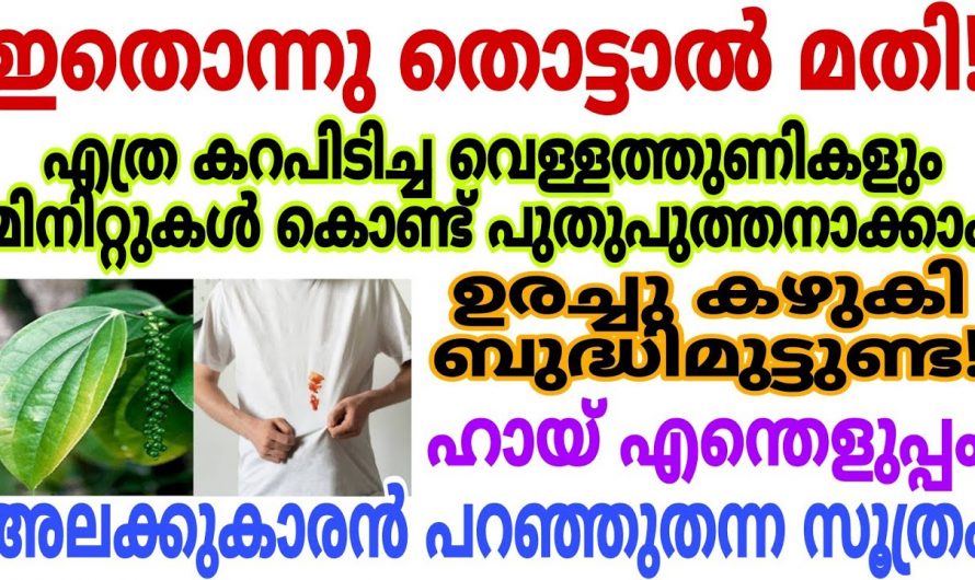 വസ്ത്രങ്ങളിലെ പേന കറയും സ്കെച്ച് പെൻസിലിന്റെ കറയും എളുപ്പത്തിൽ പരിഹരിക്കാം..