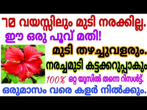 തലമുടിയിലെ നര പരിഹരിക്കാൻ കിടിലൻ പ്രകൃതിദത്ത ഹെയർ ഡൈ..