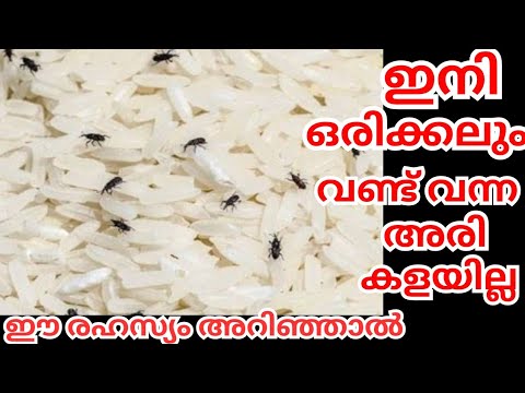 അടുക്കളയിൽ സ്വീകരിക്കാവുന്ന കിടിലൻ ടിപ്സുകൾ..