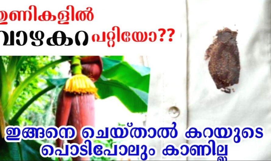 വസ്ത്രങ്ങളിലെ കറ  എളുപ്പത്തിൽ പരിഹരിക്കാം..