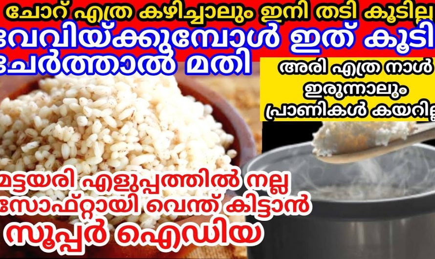 ഗ്യാസ് പാഴാക്കാതെ പ്രഷർ കുക്കർ ഉപയോഗിക്കാതെയും നമുക്ക് എളുപ്പത്തിൽ എങ്ങനെ ചോറ് തയ്യാറാക്കാം..