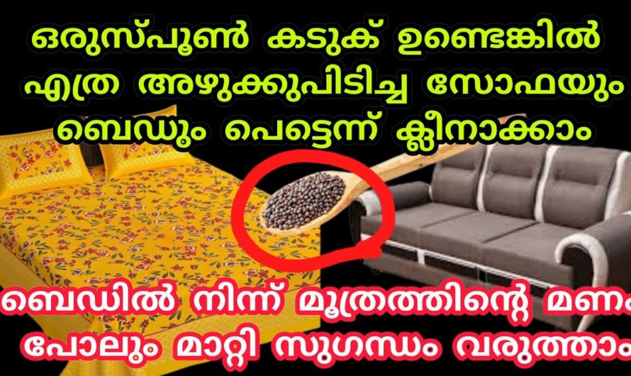 വളരെ എളുപ്പത്തിൽ തന്നെ വീട്ടിലെ സോഫയും ബെഡും ക്ലീൻ ചെയ്യാം ..