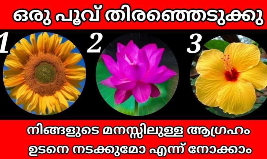 നിങ്ങളുടെ ജീവിതത്തിൽ ആഗ്രഹിക്കുന്ന കാര്യങ്ങൾ നേടിയെടുക്കാൻ സാധിക്കുമോ ഇല്ലയോ.