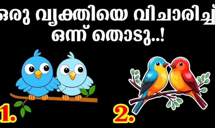 ഇതിലൂടെ നിങ്ങളുടെ ജീവിതത്തിലെ ചില വ്യക്തികളുടെ സ്വാധീനത്തെ അറിയാം..