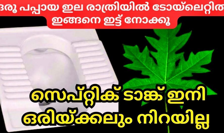 വളരെ എളുപ്പത്തിൽ ക്ലീനിങ് ചെയ്തു തീർക്കാൻ കിടിലൻ വഴി…